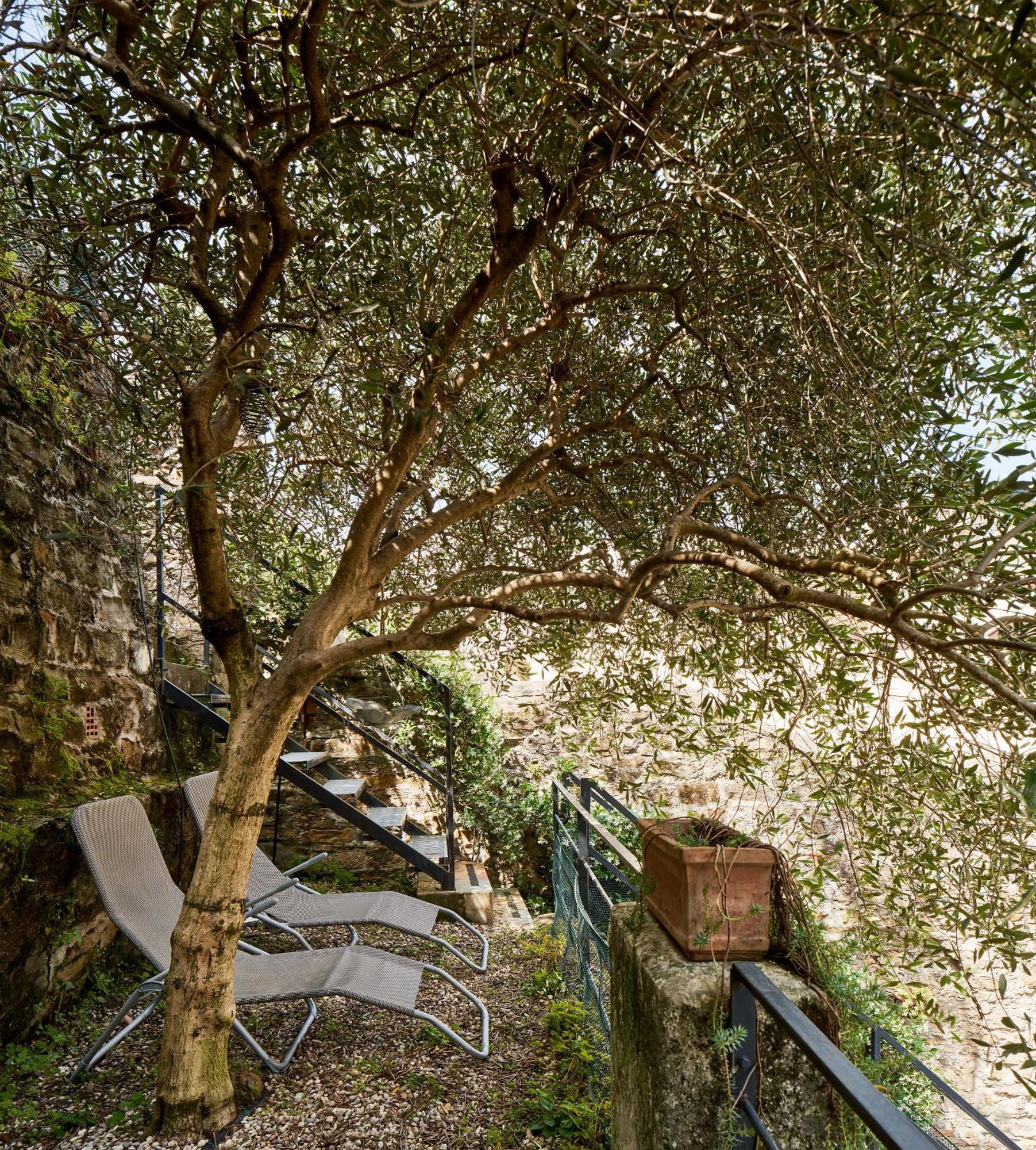Giardino Segreto, In Centro Apartment Triest Exterior foto